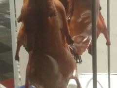 -大鸭梨烤鸭(枣园店)