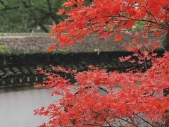 -上海佘山国家森林公园天马山园