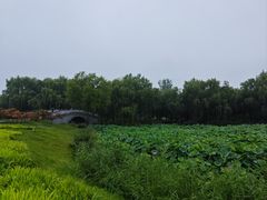 -西安浐灞国家湿地公园