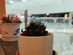 -全牛匠·乐山跷脚牛肉(西北旺万象汇店)