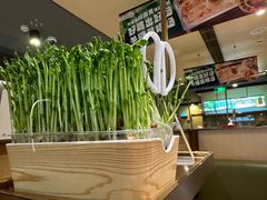 -海底捞火锅(漕宝路店)