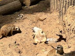 -北京野生动物园