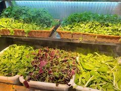 -老凯俚酸汤鱼(东山店)