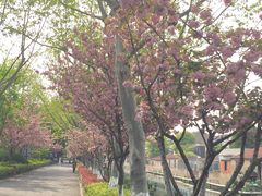 -圩墩遗址公园