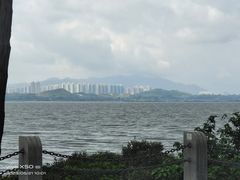 -福田红树林生态公园