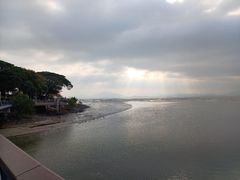 -福田红树林生态公园