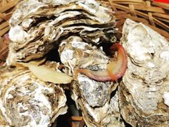 -蚝堡海鲜·威海菜·海肠捞饭·烧烤·亚洲吃蚝公司(幸福门店)