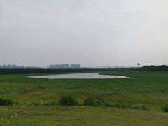 -盘龙城国家考古遗址公园