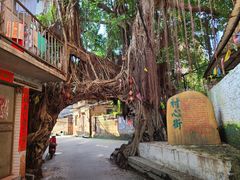-江门古劳水乡旅游区