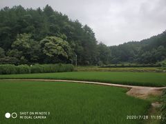 -韶山毛泽东同志故居