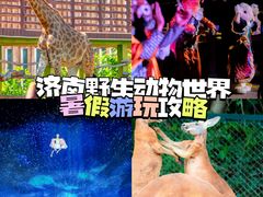 -济南野生动物世界