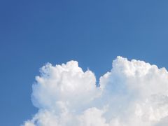 -动邦皮划艇·桨板·独木舟·团建户外运动俱乐部