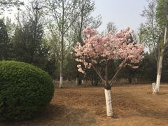 -济南国际园博园