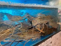 -周姑娘不等味·牛羊肉火锅·螃蟹罗氏虾·烤鱼烤串(高邮店)