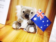 iphone_upload_pic-考拉小食堂