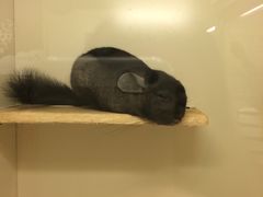 -龙猫仔乐园(惠福东路店)