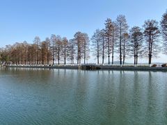 -东湖落雁景区