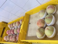 -老袁家蜜桃农场·阳山水蜜桃