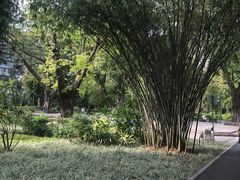 -晓港公园
