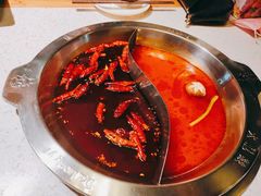 -大龙燚火锅