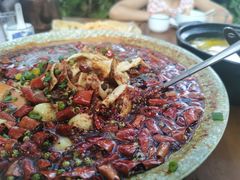 -青城甲(青城山店)