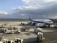-全日本空输株式会社(上海办事处)