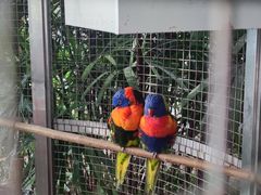 -大连森林动物园