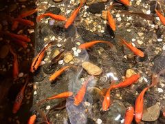 -邈墨茶馆(凤起路店)