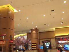 -大江户·温泉洗浴(浑南店)