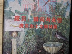 -盘龙城国家考古遗址公园