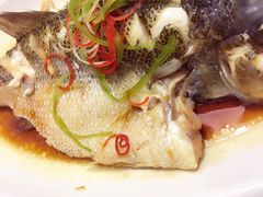 -肘子酥·天津菜·特色捞面(德云社店)