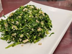 -协和菜馆(凤凰街店)