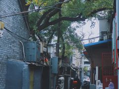 -百花深处胡同