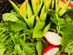 -福禄财东北菜(珠江帝景店)