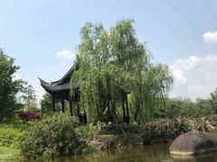 -两江国际影视城