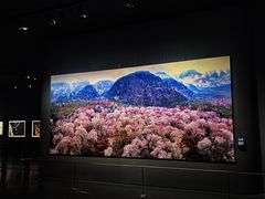 -罗红摄影艺术馆