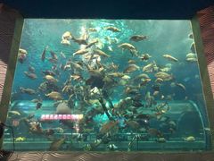 -秦皇岛新澳海底世界
