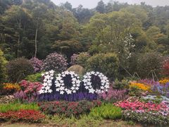 -梧桐山风景名胜区