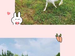 -前小桔亲子创意农场·草莓采摘·露营烧烤