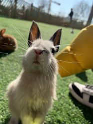 -萌宠亲子动物乐园(槐房万达店)