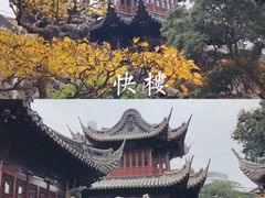 -豫园