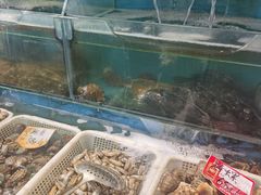 水产区-滨海小渔村·海肠捞饭·鲅鱼水饺·特色老火鱼丸汤(华田店)