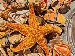 -一方渔歌蒸汽海鲜自助(文化路万达广场店)