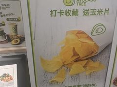 -油梨树AVOCADO TREE(嘉里中心店)