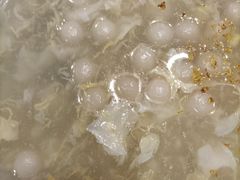 -上海德兴馆(昌里店)