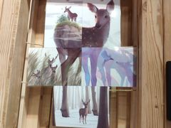 -鹿境梅花鹿生态园区
