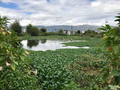 -翠田Green Field Kitchen