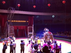 -西安秦岭野生动物园