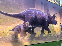 -西安电影制片厂