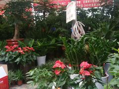 -秦美花卉(天朗·莱茵小城2期店)